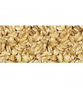 Grain Millers Oats Regular Rolled (1x5LB )