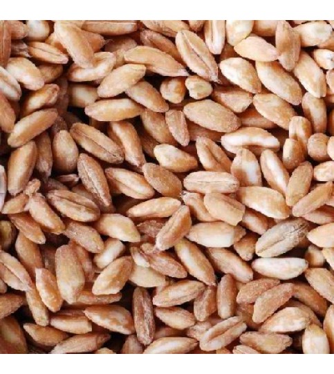 Vita-Spelt Kernels (1x25LB )