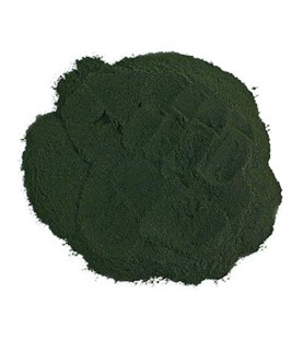 Frontier Herb Spirulina Powder (1x1lb)