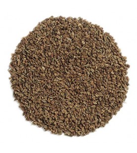 Frontier Herb Whole Celery Seed (1x1lb)