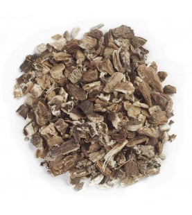 Frontier Herb Burdock Root C/S (1x1lb)