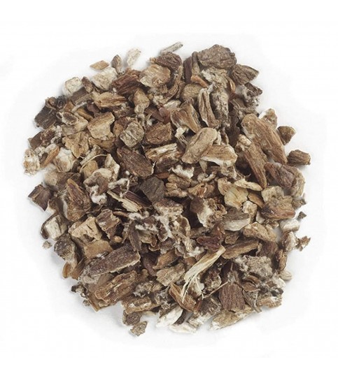 Frontier Herb Burdock Root C/S (1x1lb)