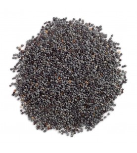 Frontier Herb Poppy Seed (1x1lb)