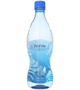 Eternal Artesian Water Water Pet (24x600ML )