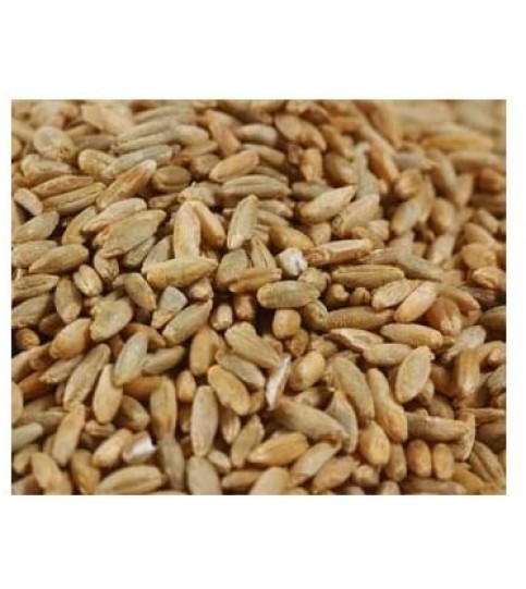 Grains Rye Berries (1x25LB )