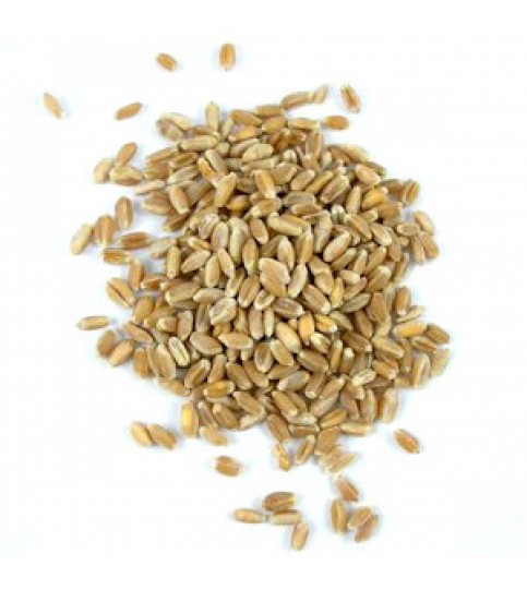 Grains Wheat Berries, 50-Pound