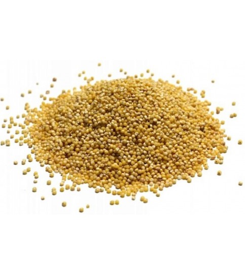 Grains Hulled Millet (1x25LB )