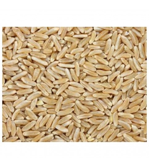 Grains Kamut Berries (1x25LB )Bulk Grains, 100% Organic Kamut Berries, 25 Lbs