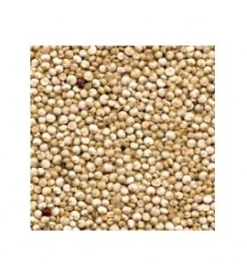 Grains Quinoa Bulk (1x25LB )