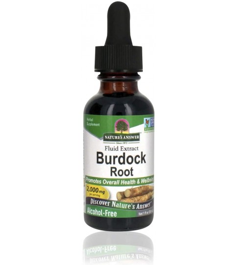 Nature's Answer Burdock Root, 1oz