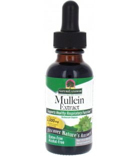 Nature's Answer Mullein Leaf 1oz