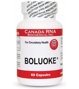 Boluoke (Lumbrokinase) for Circulatory Health Canada RNA, 60 caps