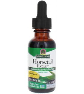 Nature's Answer Alcohol-Free Horsetail Herb Extract, 1-Ounce