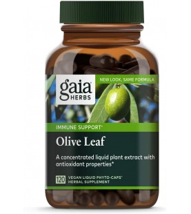 Gaia Herbs Olive Leaf, Vegan Liquid Capsules, 120 Count, 680mg