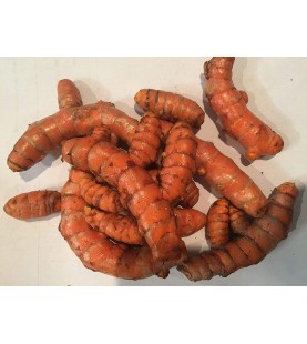 USDA Organic Turmeric Whole Raw Root (1 Pound)