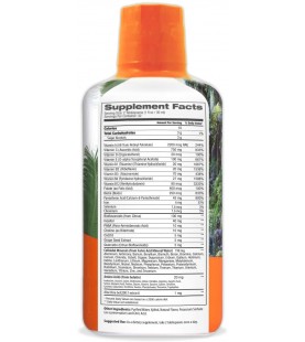 Tropical Oasis Mega Plus - Liquid Multivitamin Supplement - 32oz