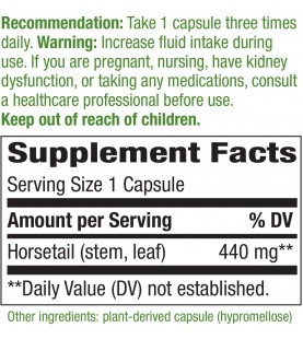 Nature's Way Premium Herbal Horsetail Grass 440 mg, 100 VCaps