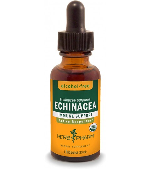Herb Pharm Certified Organic Echinacea Root Liquid Extract, 1 Ounce