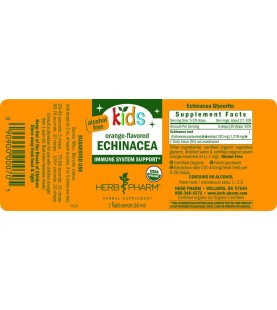 Herb Pharm Kids Echinacea Glycerite Liquid Extract, 1 Fl Oz