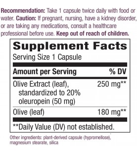 Nature's Way Premium Extract Standardized Olive Leaf, 250 mg, 60 VCaps