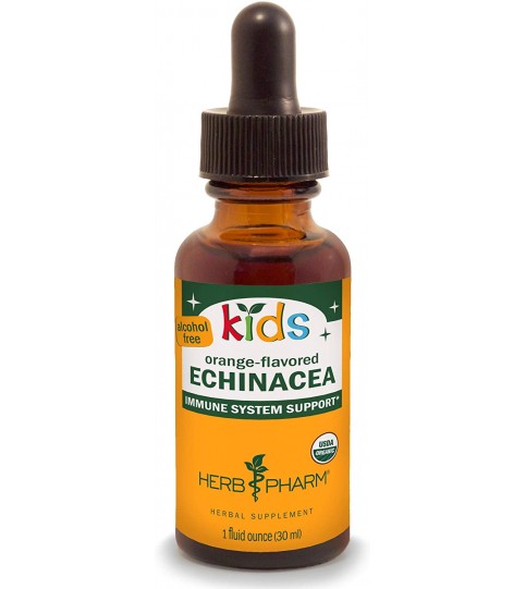 Herb Pharm Kids Echinacea Glycerite Liquid Extract, 1 Fl Oz