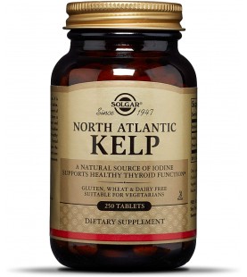 Solgar – North Atlantic Kelp, 250 Tablets