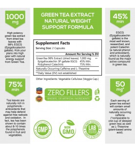 Green Tea Extract 98% Standardized EGCG Weight Loss 1000mg - 120 Capsules