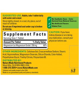 Nature Made Magnesium Oxide 250 mg Tablets, 100 Count