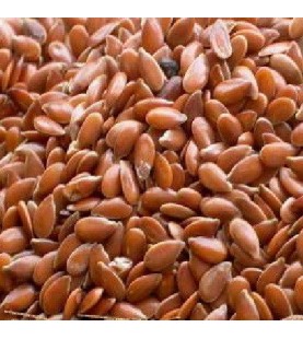 Seeds Flax Seeds (1x5LB )