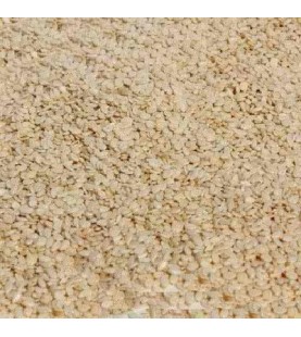 Seeds Hull/Sesame Seed Wht (1x5LB )