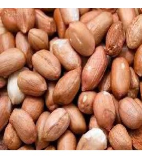 Nuts Raw Spanish Peanuts Usa (1x30LB )