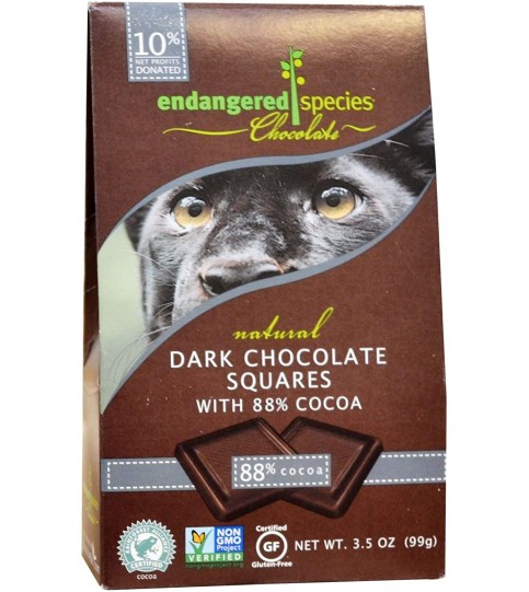 Endangered Species Bite Size Dark Chocolate Panther (6x10 CT)