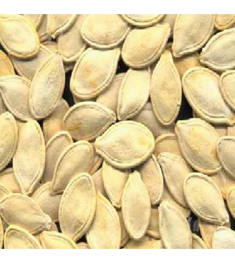 Seeds Pumpkin Seed,Chinese (1x27.5LB )