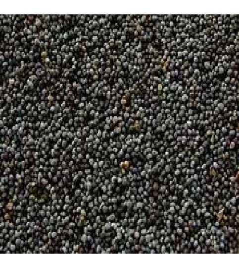 Seeds Poppy Seeds (1x5LB )