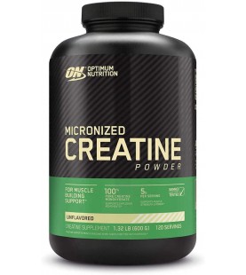 Optimum Nutrition Micronized Creatine Monohydrate Powder, 120 Servings