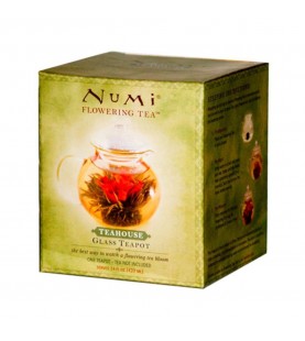 Numi Tea Teahouse Glass Teapot (1x14 Oz)