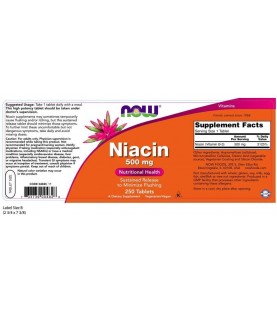 NOW Supplements, Niacin (Vitamin B-3) 500 mg, 250 Tablets