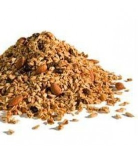 Golden Temple Natural Vanilla MacAroon Granola (1x25lb)