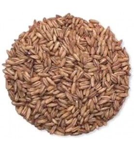 Grains Whole Oat Groats (1x25LB )