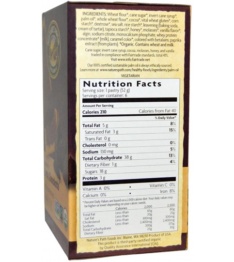 Nature's Path Frosted Chocolate Toaster Pastry (12x11 Oz)